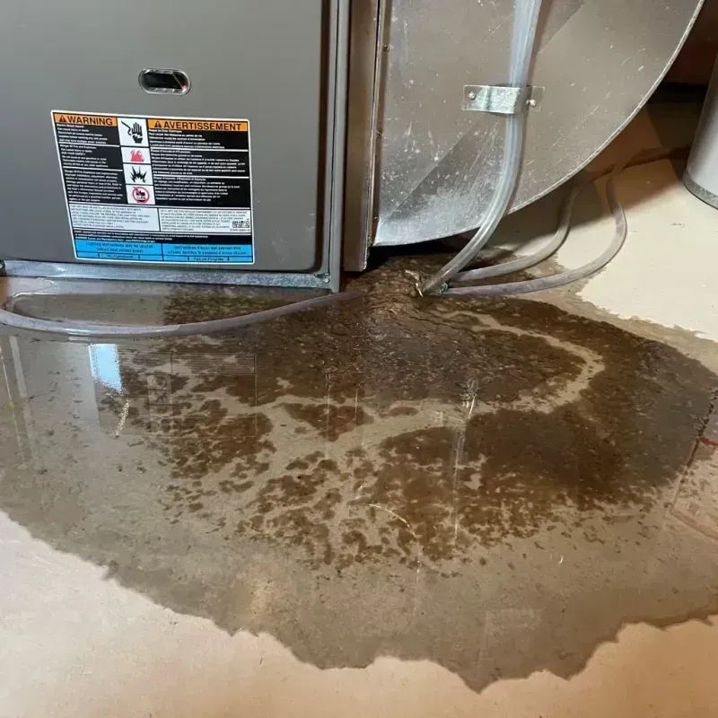 Appliance Leak Cleanup in Sitka City and Borough, AK